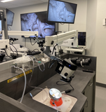 Temporal Bone Lab